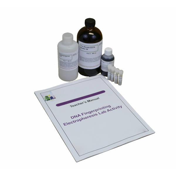 DNA Fingerprinting Kit