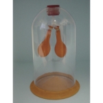 Lung Demonstration Model